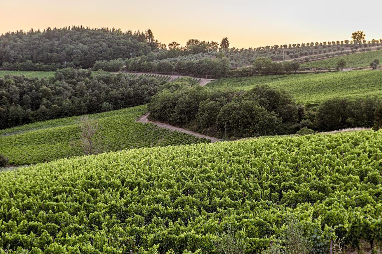 Agriturismo Casa Al Bosco Villa Castellina in Chianti Luaran gambar