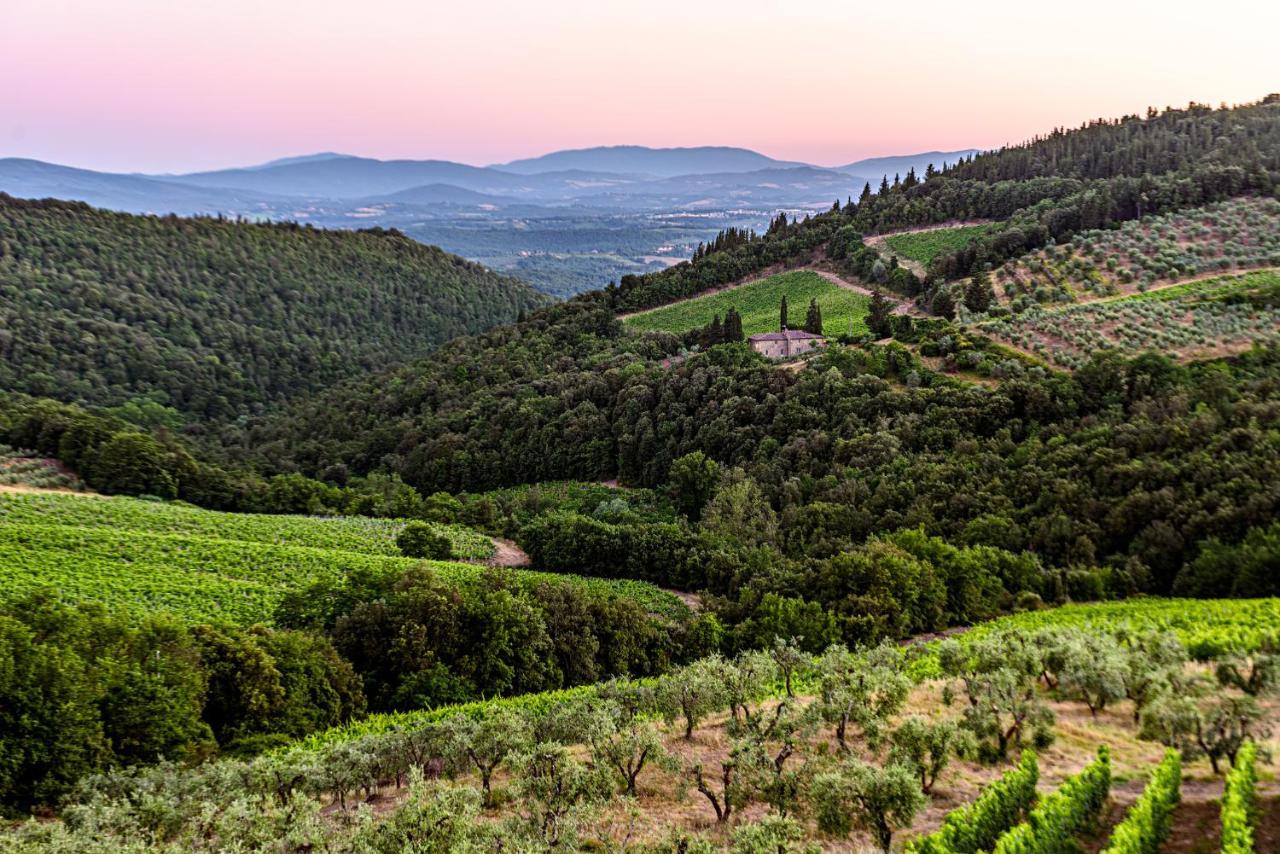 Agriturismo Casa Al Bosco Villa Castellina in Chianti Luaran gambar